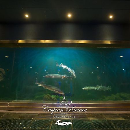 Caspian Riviera Grand Palace Hotel Ακτάου Εξωτερικό φωτογραφία Dolphins at the aquarium
